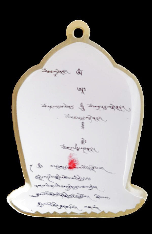 Dorje Drolod Medallion #2