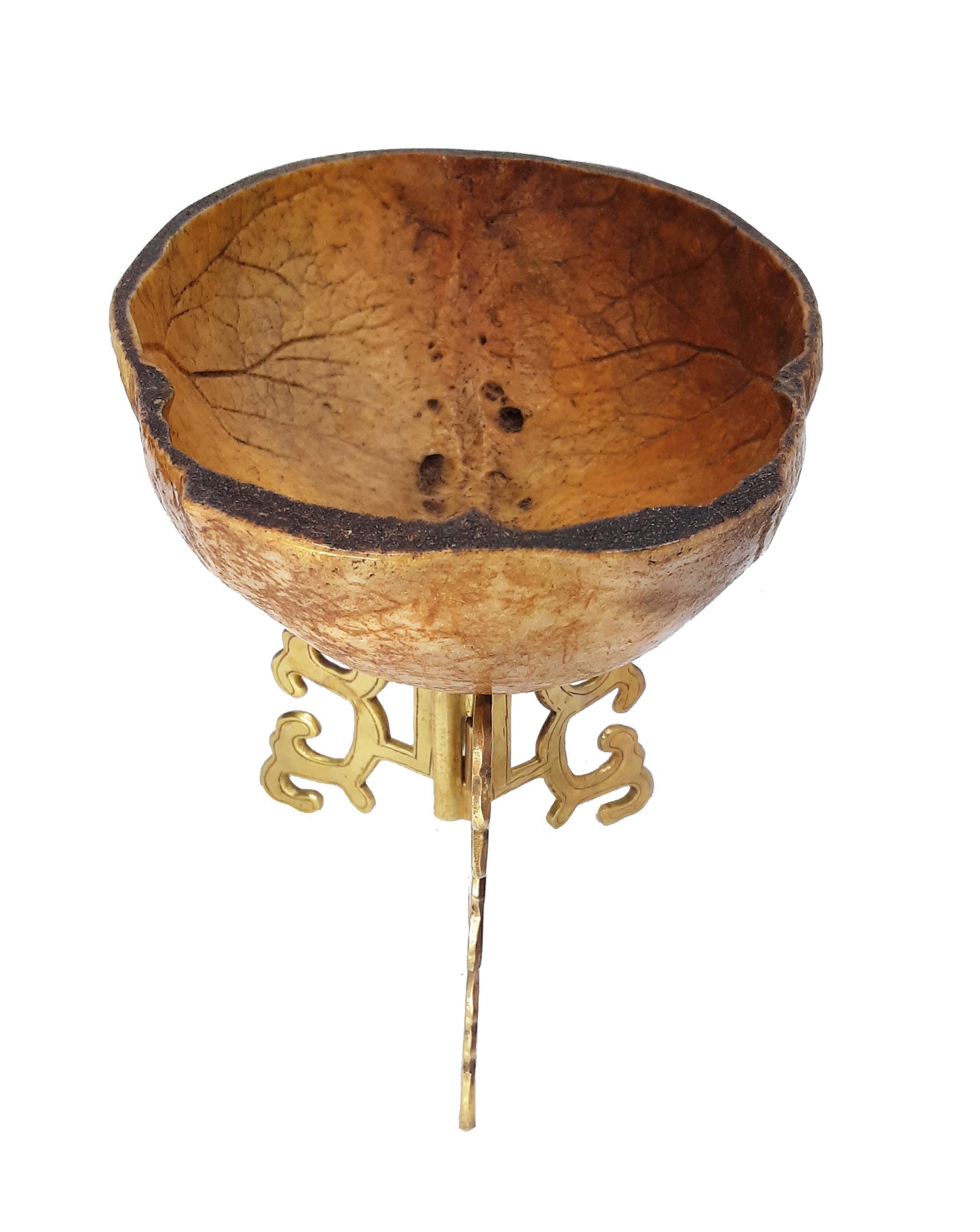 Kapala, Authentic Human Skull Cup