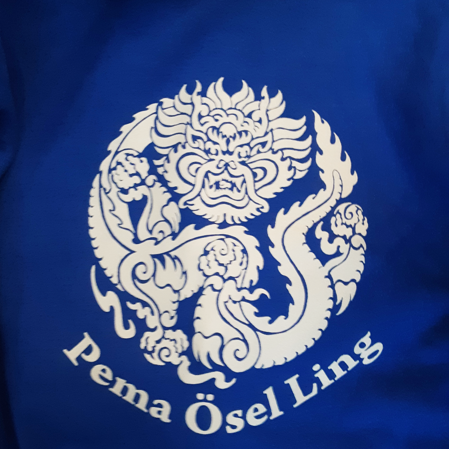 Blue POL Sweatshirt XL