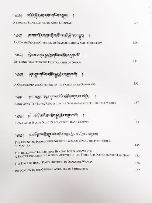 Dharma Protectors (Long And Concise Dharma Protectors Practice, Medium And Long Shenpa Practice)