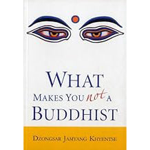 What Makes You Not A Buddhist (paperback)