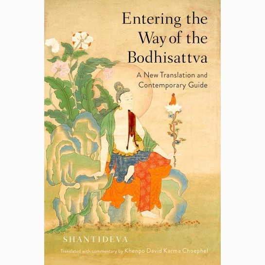 Entering the Way of the Bodhisattva
