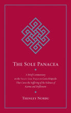 The Sole Panacea (paperback)