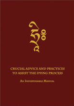 Crucial Advice and Practices to Assist the Dying Process