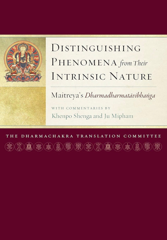 Distinguishing Phenomena from their Intrinsic Nature (Pbk)