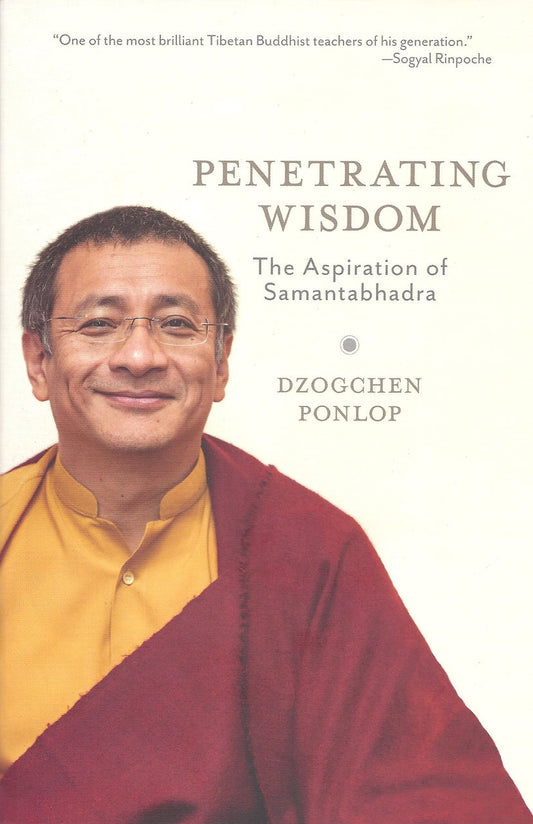 Penetrating Wisdom (Paperback)