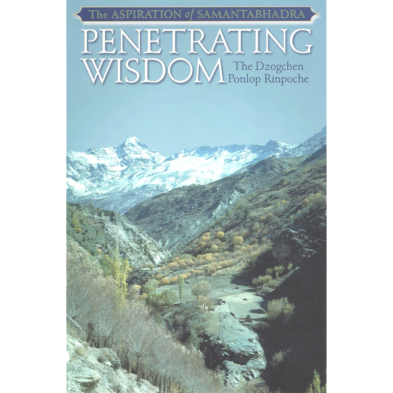 Penetrating Wisdom