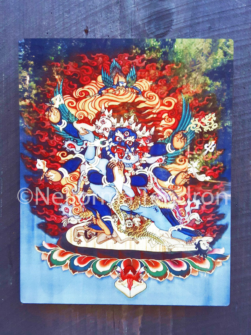 Vajrakilaya Metal Print 8"x10" by Neljorma Tendron