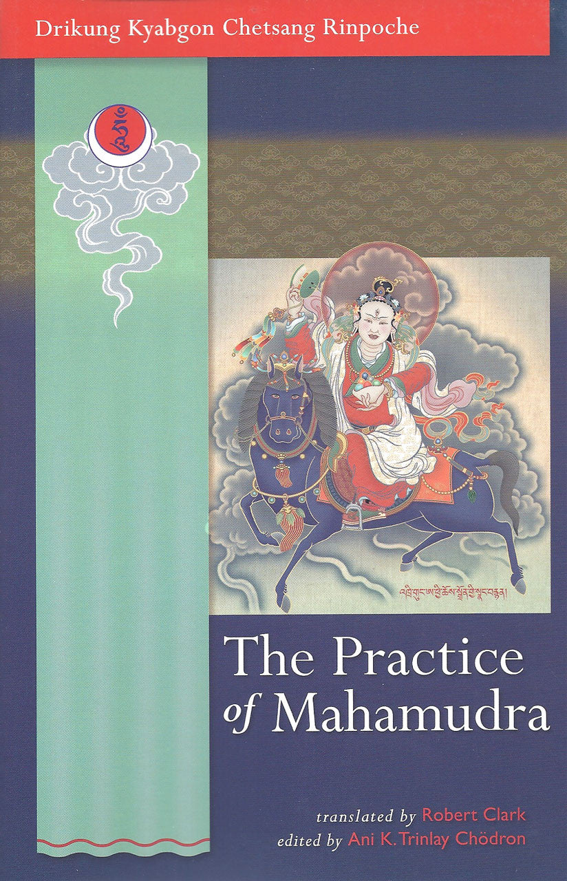 The Practice of Mahamudra