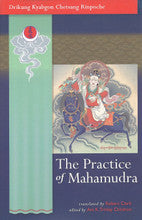 The Practice of Mahamudra