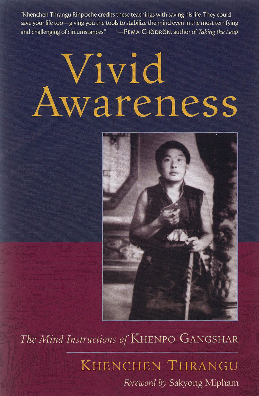 Vivid Awareness