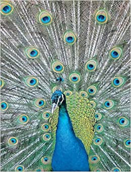 Blue Peacock Notebook 6" x 8.5"