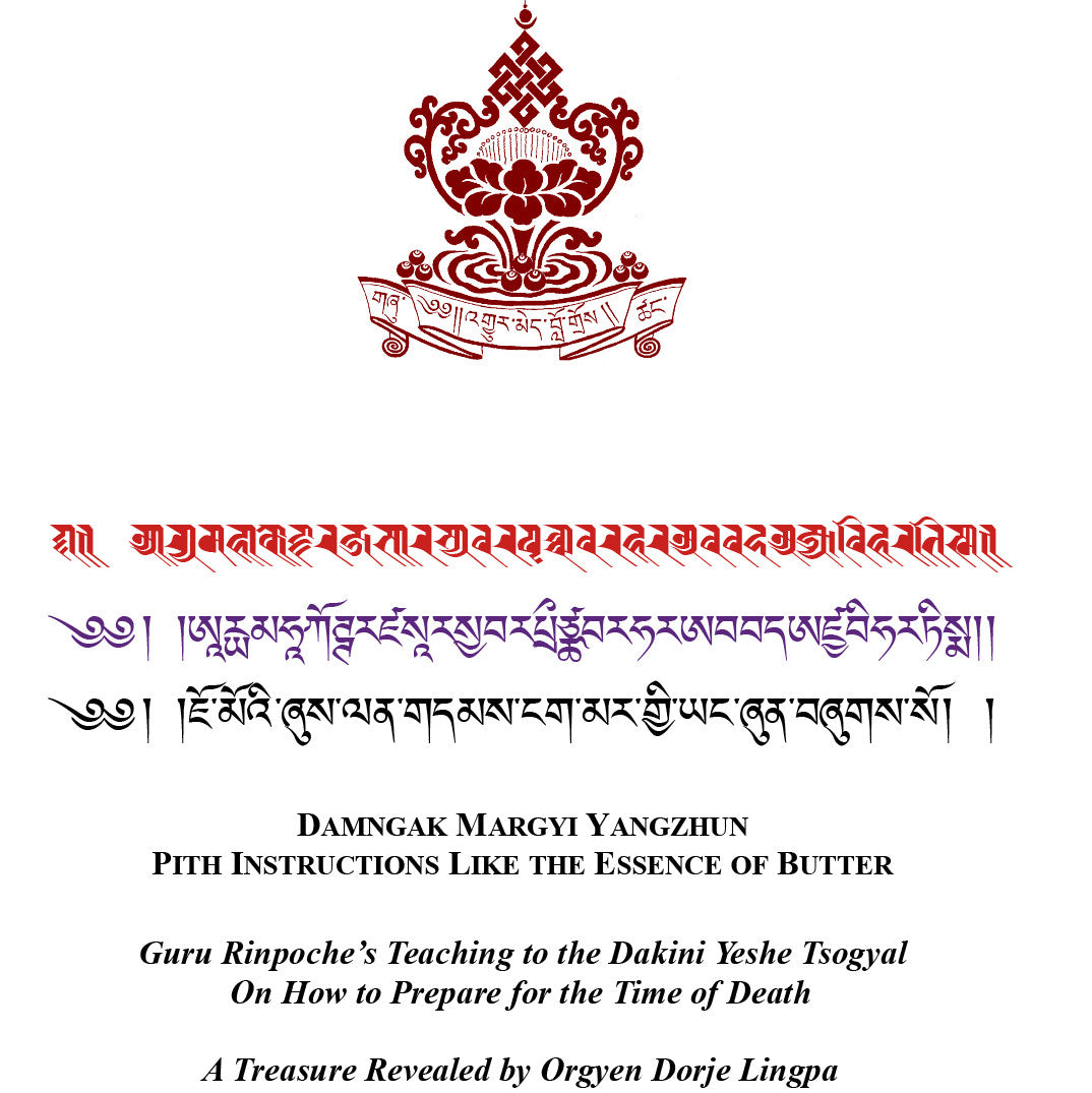 Pith Instructions Like The Essence of Butter Text