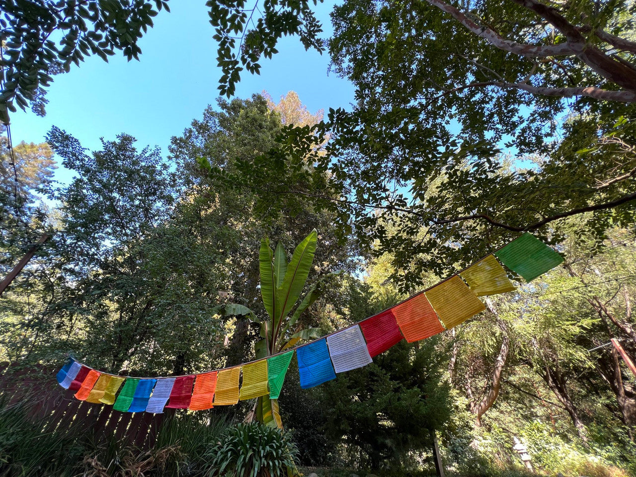 Vajra Armor Prayer Flags