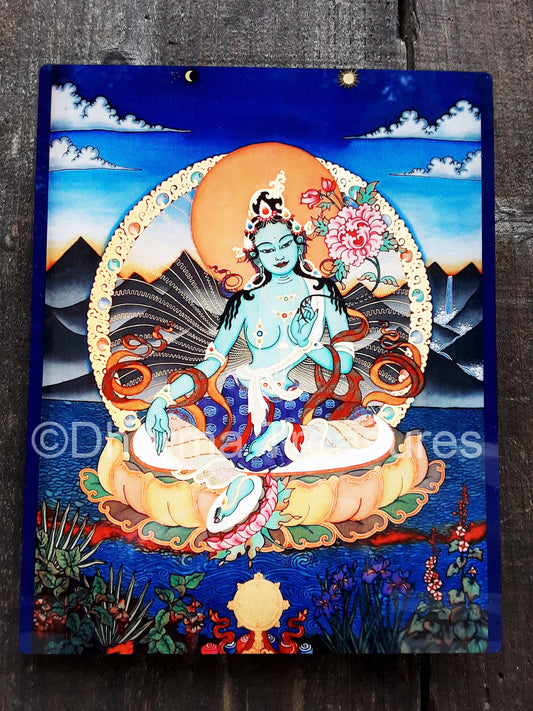 Green Tara Metal Print 8x10 by Neljorma Tendron