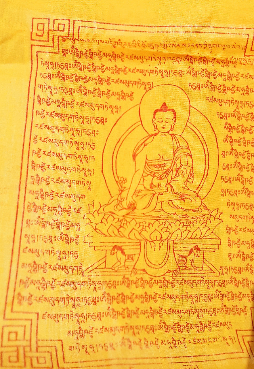 Medicine Buddha Prayer Flag,  8"x10"