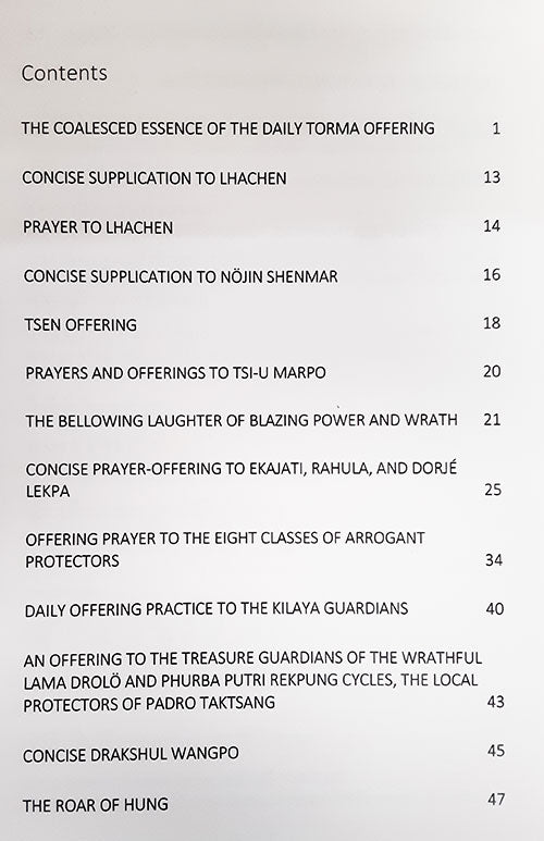 Dharma Protectors Daily Practice