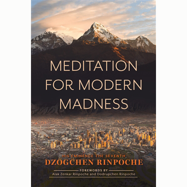 Meditation for Modern Madness