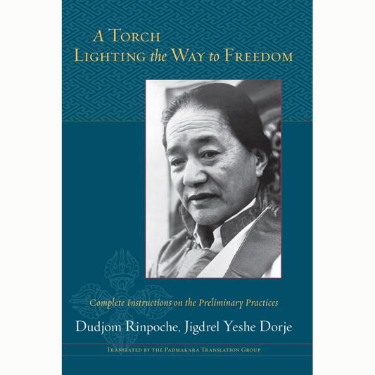 A Torch Lighting the Way to Freedom (Paperback)