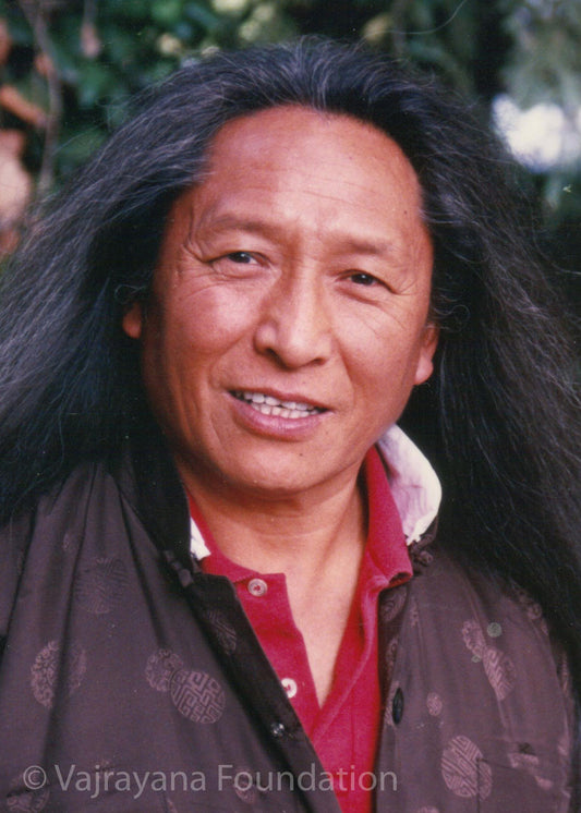 Lama Tharchin Rinpoche Long Hair Photo