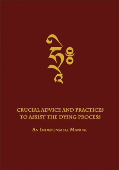 Crucial Advice and Practices to Assist the Dying Process