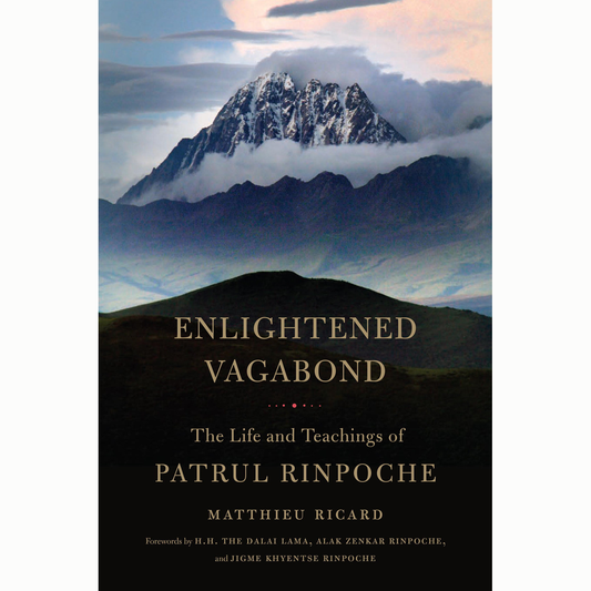 Enlightened Vagabond