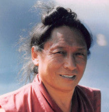 (DIG AUDIO) Kunzang Monlam chanted by Lama Tharchin Rinpoche