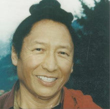 (DIG AUDIO) History of a Yogi in Tibet by Lama Tharchin Rinpoche