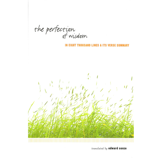 The Perfection of Wisdom: In 8000 Lines
