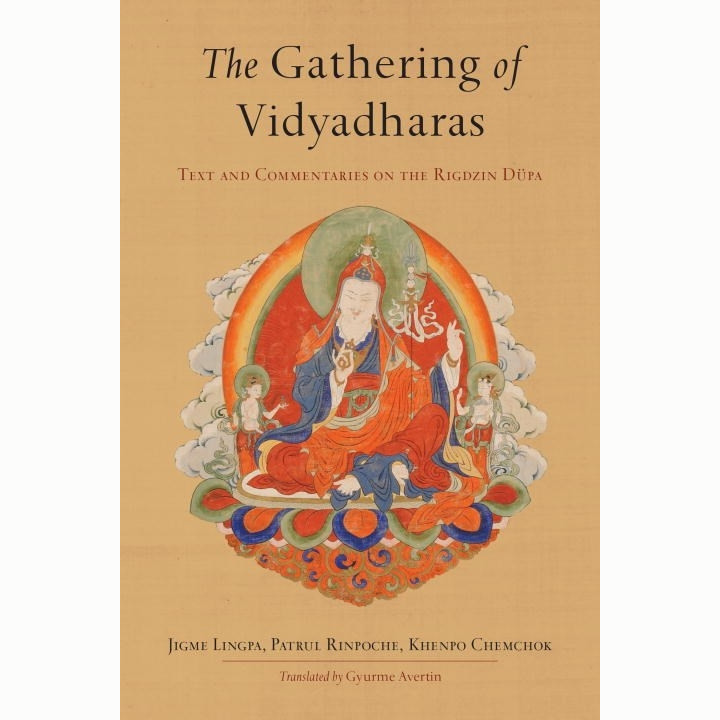The Gathering of Vidyadharas