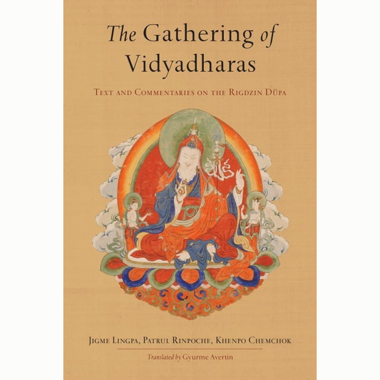 The Gathering of Vidyadharas