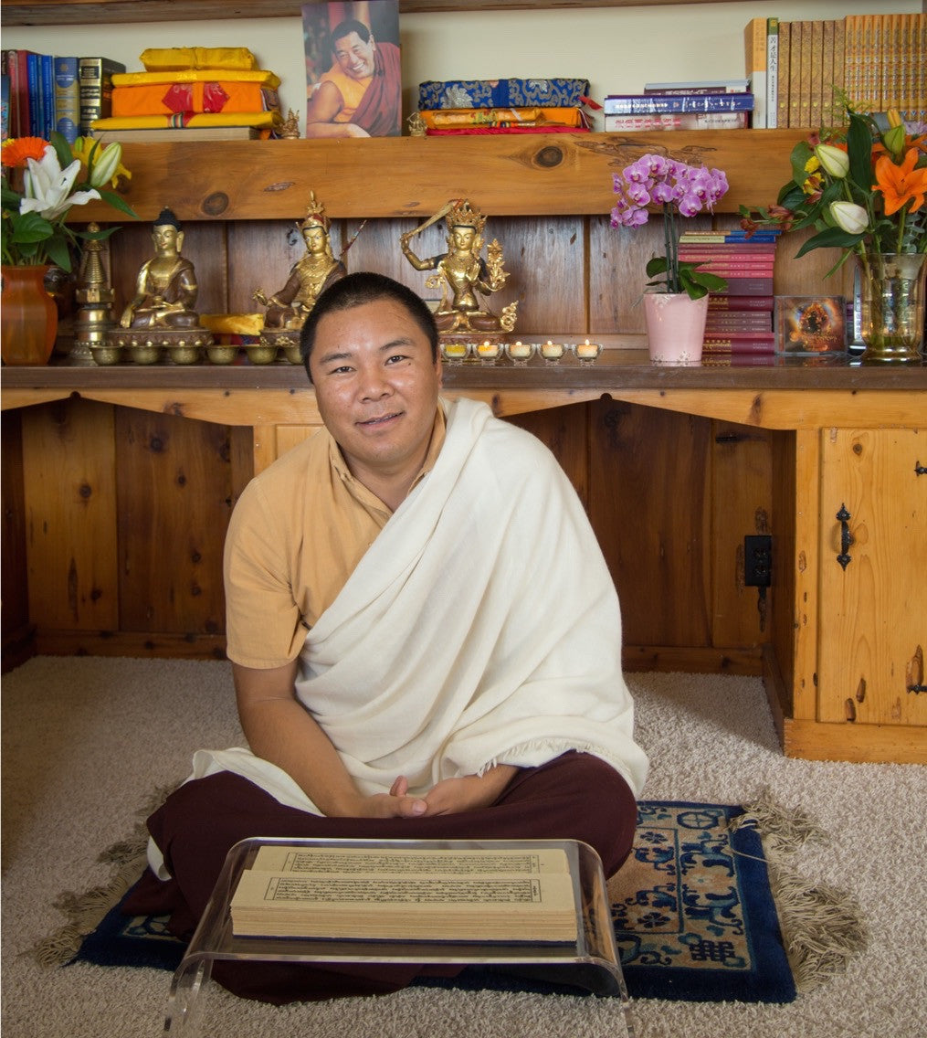 (DIG AUDIO) Mode of Being (2015) - Teachings by Tulku Jigme Wangdrak Rinpoche