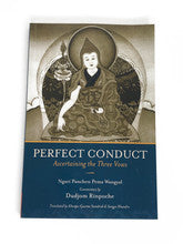 Perfect Conduct