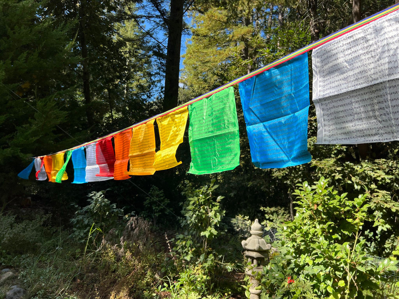 Vajra Armor Prayer Flags